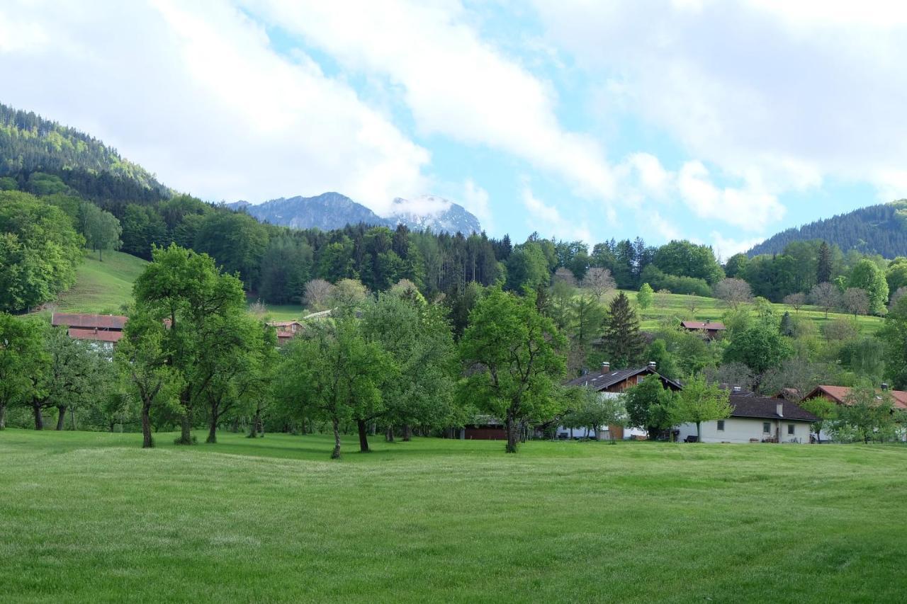 Am Jenbach Apartment Bad Feilnbach Exterior foto